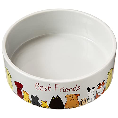 Picture of Ethical Pet 077234546956 7 in. Spot Best Friends Dog Dish Bowl