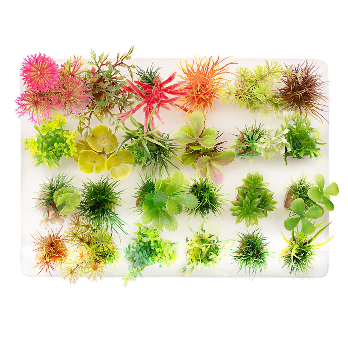 Picture of Aquatop 819603014686 23 in. Boxed Plastic Aquarium Assorted Plants&#44; Multi Color - Assorted Size - Pack of 24