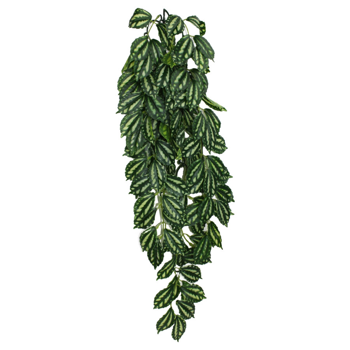 Picture of MultiPet 784369933062 Komodo TwoToned Leaf Hanging Plant - 26 in. Large