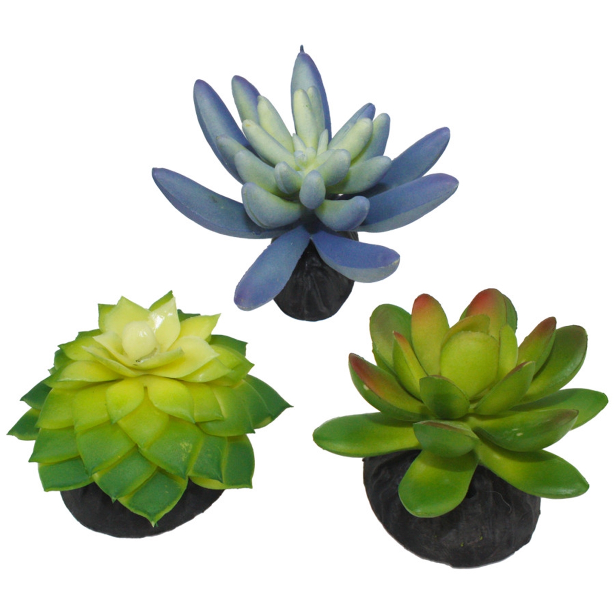 Picture of MultiPet 784369933093 Komodo Desert Succulent Plant - Blue & Green - Pack of 3
