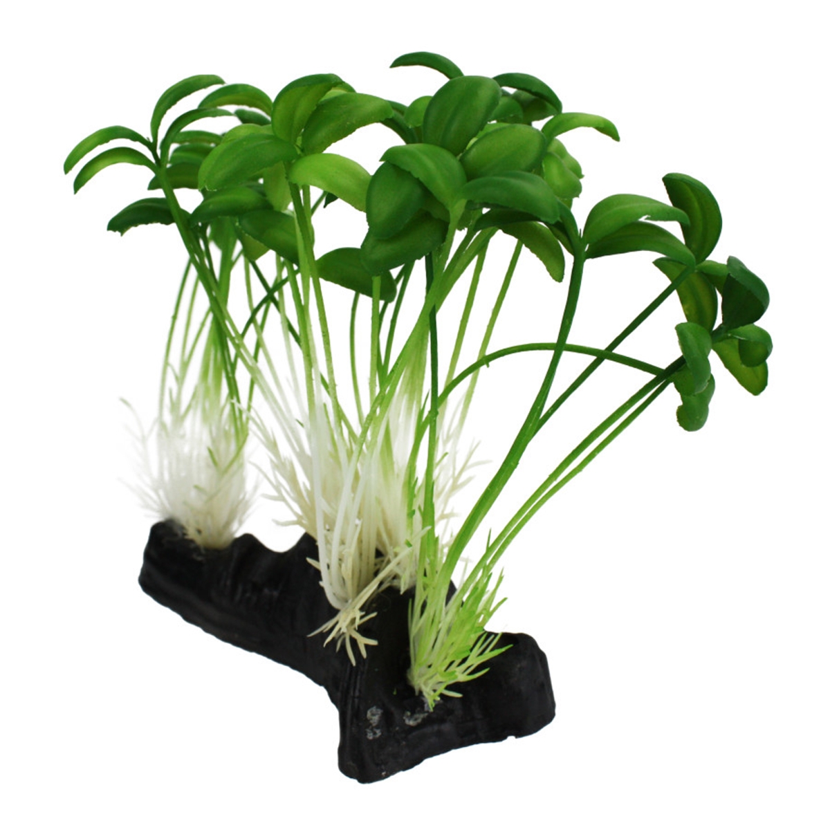 Picture of MultiPet 784369933109 Komodo Sprout Plant - One Size