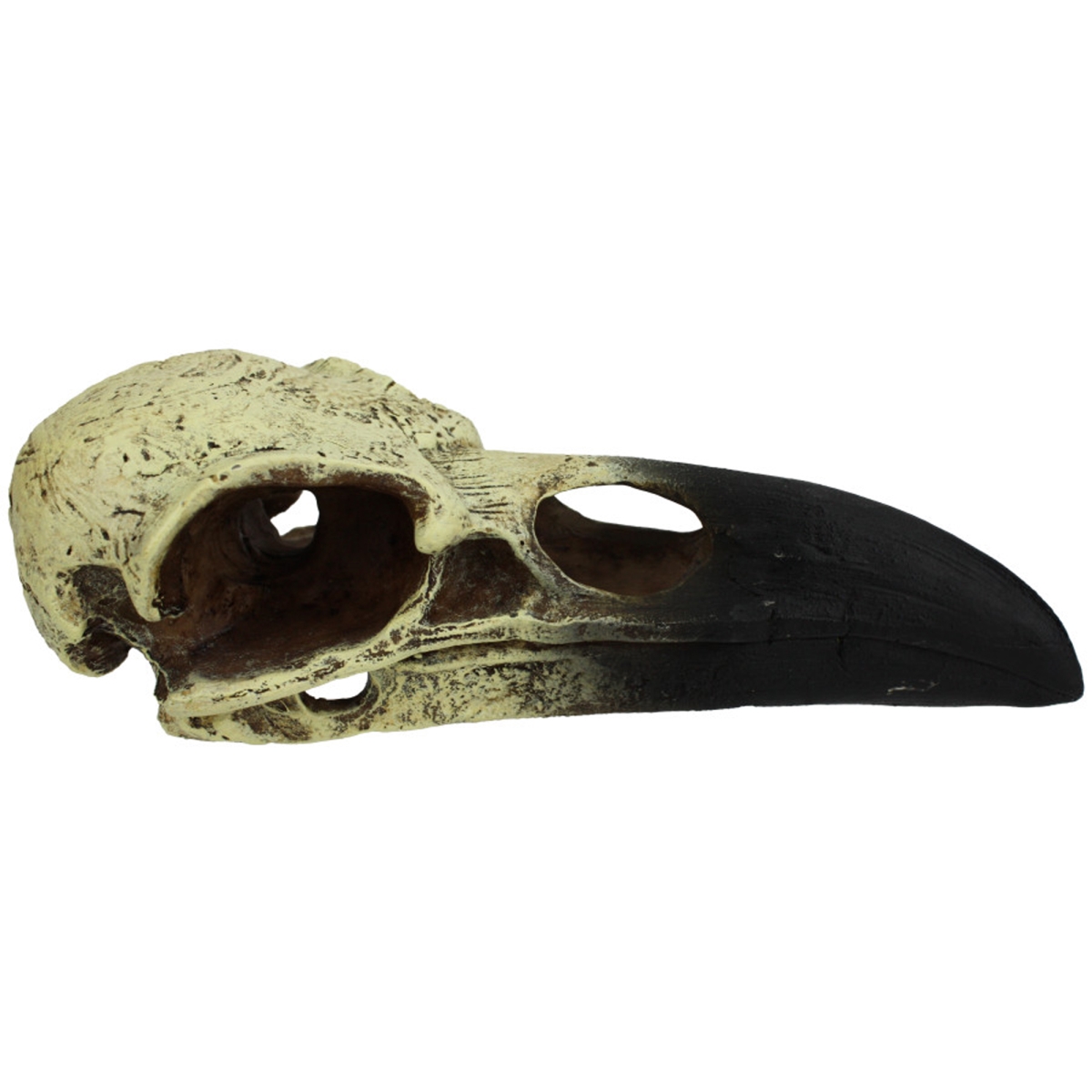 Komodo Raven Skull Hideout Toy - Black/Gray - 6 in. Medium - Unique Design