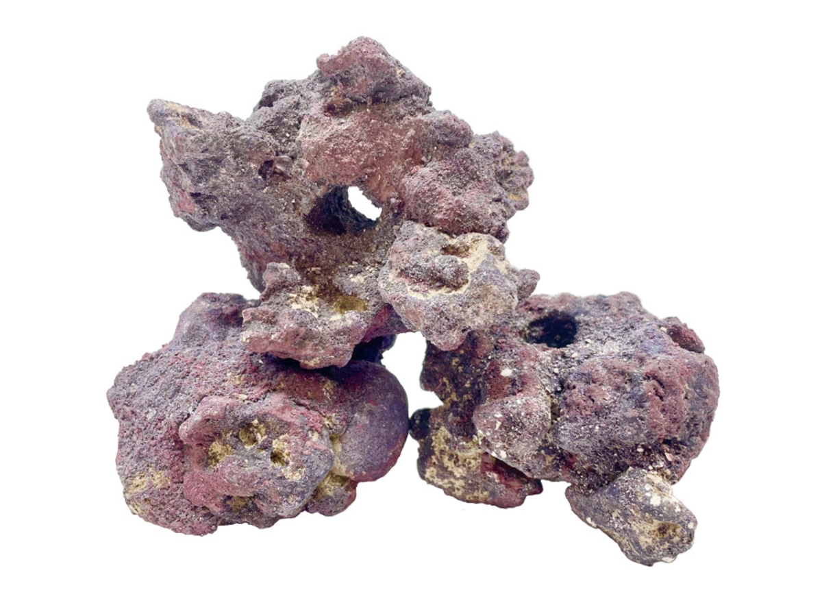 Picture of CaribSea 008479003003 LifeRock Fraggerz Rock - Pack of 10