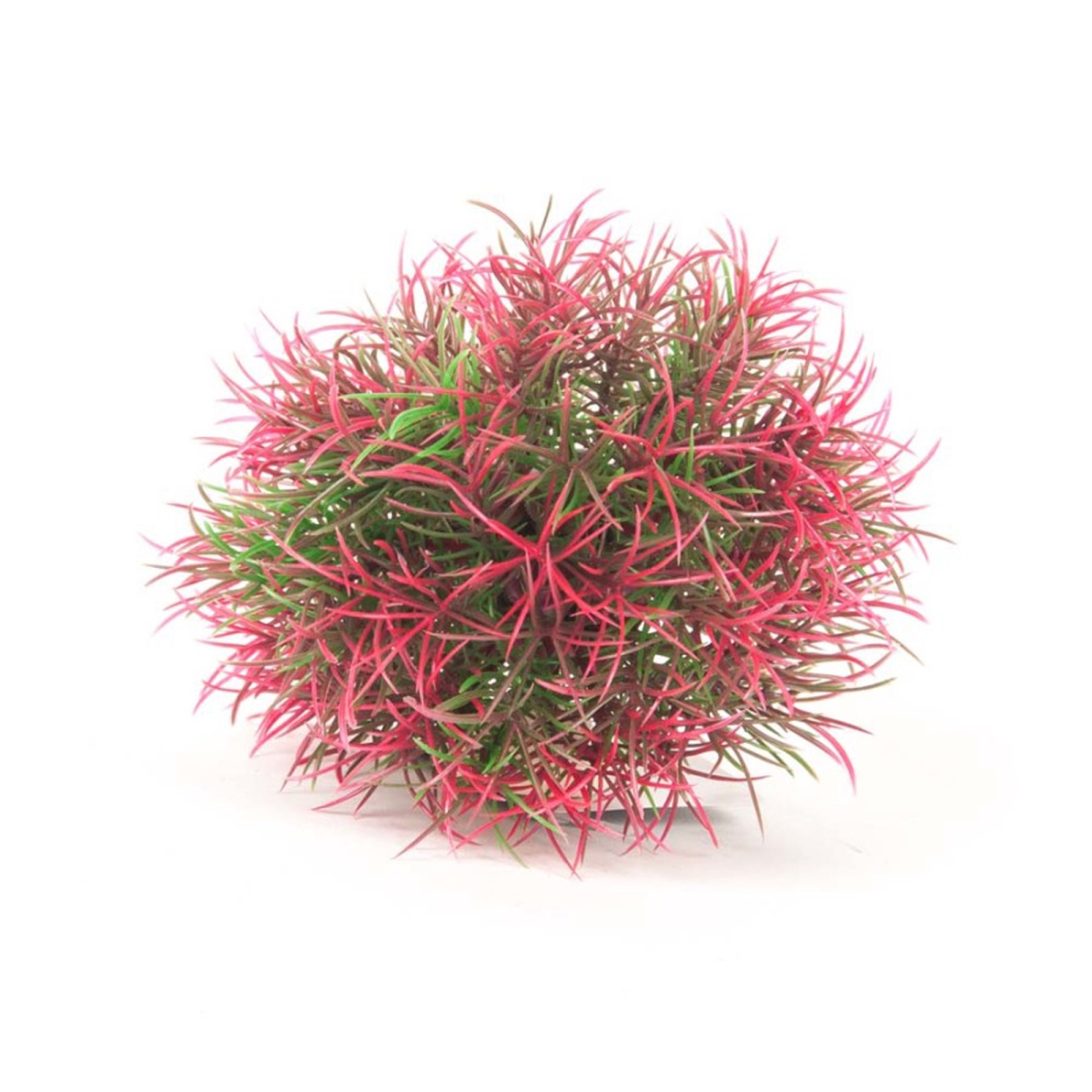 Picture of Aquatop 819603015959 Ball Aquarium Plant with Weighted Base - Green & Red - 5 in.