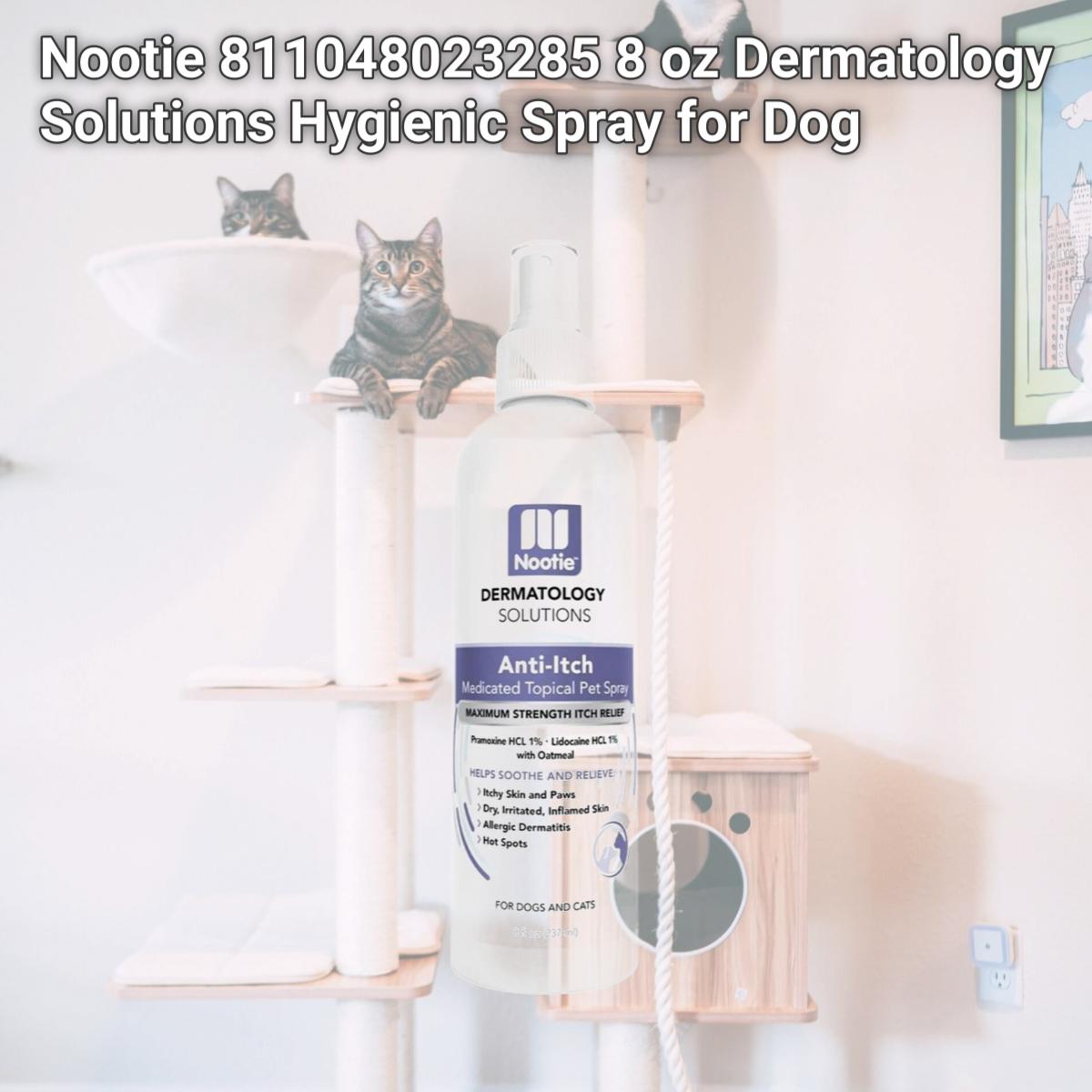 Picture of Nootie 811048023285 8 oz Dermatology Solutions Hygienic Spray for Dog