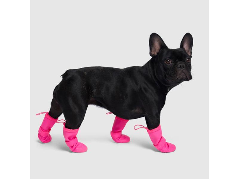 Picture of Canada Pooch 628284113935 Torrential Tracker Waterproof Rain Boots for Dog&#44; Pink - Size 2 - Pack of 4