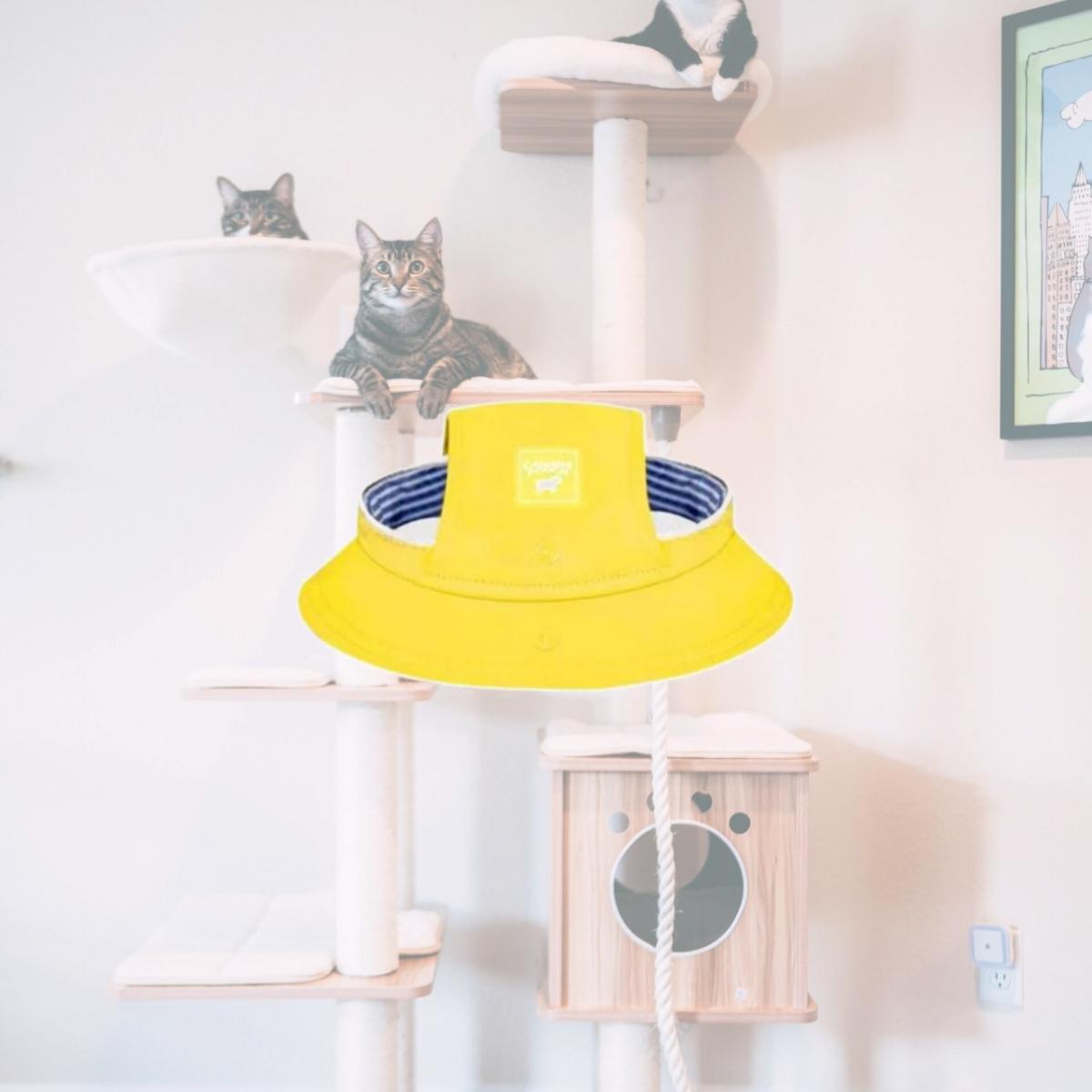 Picture of Canada Pooch 628284114000 Torrential Tracker Hat for Dog&#44; Yellow - Large