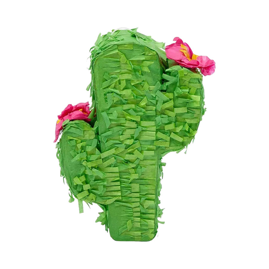 Picture of A & E Cages 644472003284 1.8 oz Happy Beaks Prefilled Pinata Foraging Bird Toy - Cactus