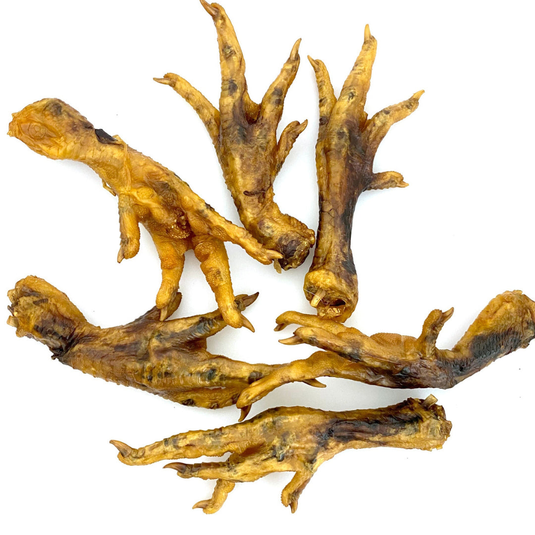 Picture of PCI 727348000256 Chicken Feet Canister Dog Treats - 25 Count