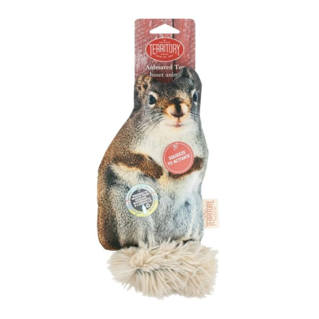 Picture of Territory 022266176824 11 in. Flopper Squirrel Dog Toy