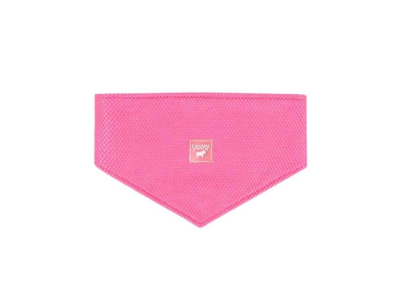 Picture of Canada Pooch 628284113546 Dog Cooling Bandana&#44; Neon & Pink - Medium