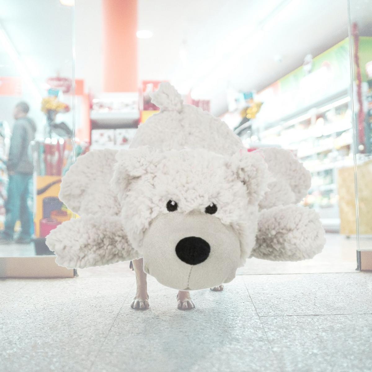 Picture of Trixie Pet Products 4011905348780 Dog Plush Toy - Bear Elroy&#44; White