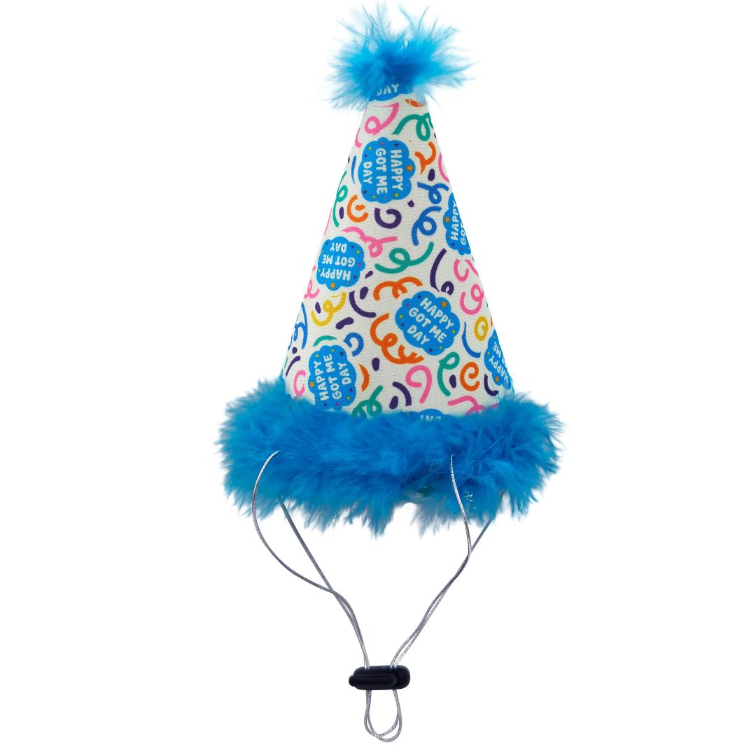 665635998926 Celebration D&C Party Hat - Happy Got Me Day, Small