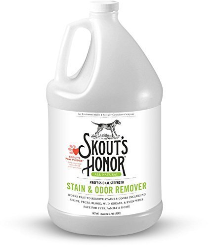 856713005159 1 Gal All Natural Professional Strength Stain & Odor