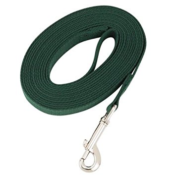 Picture of Coastal Pet Products 734190042006 Training Cotton Lead&#44; Green - 6 ft.