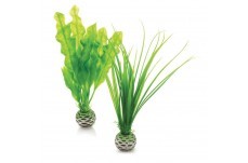 Picture of Biorb 822728002162 Easy Plant Set, Green - Medium - Pack of 2