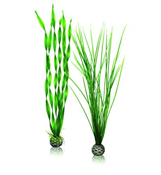 Picture of Biorb 822728002179 Easy Plant Set, Green - Tall - Pack of 2