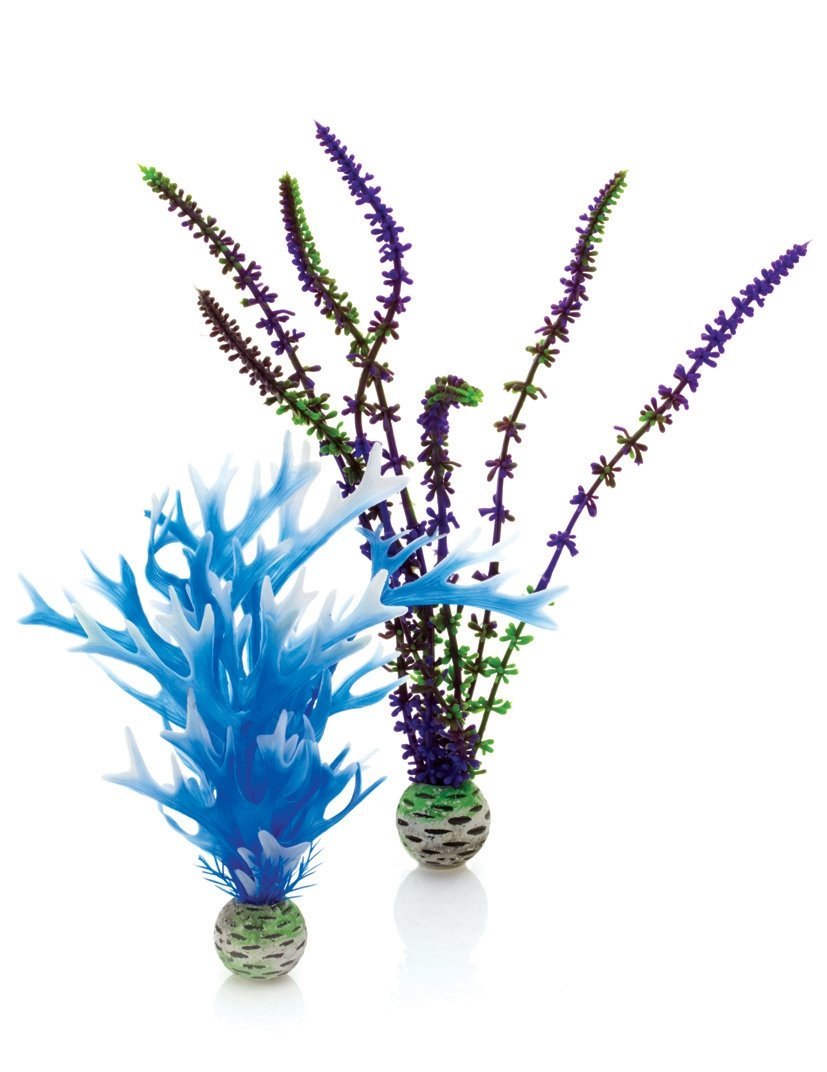 Picture of Biorb 822728002933 Plant Set&#44; Blue & Purple - Medium - Pack of 2
