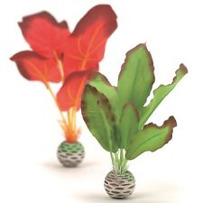 Picture of Biorb 822728005033 Silk Plant Set, Green & Red - Small - Pack of 2