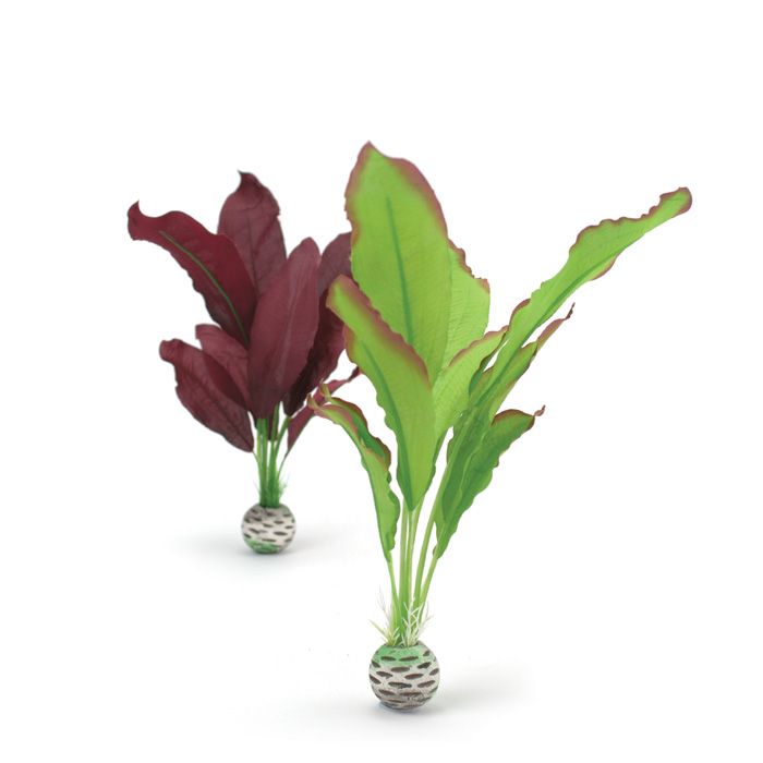 Picture of Biorb 822728005057 Silk Plant Set, Green & Purple - Medium - Pack of 2