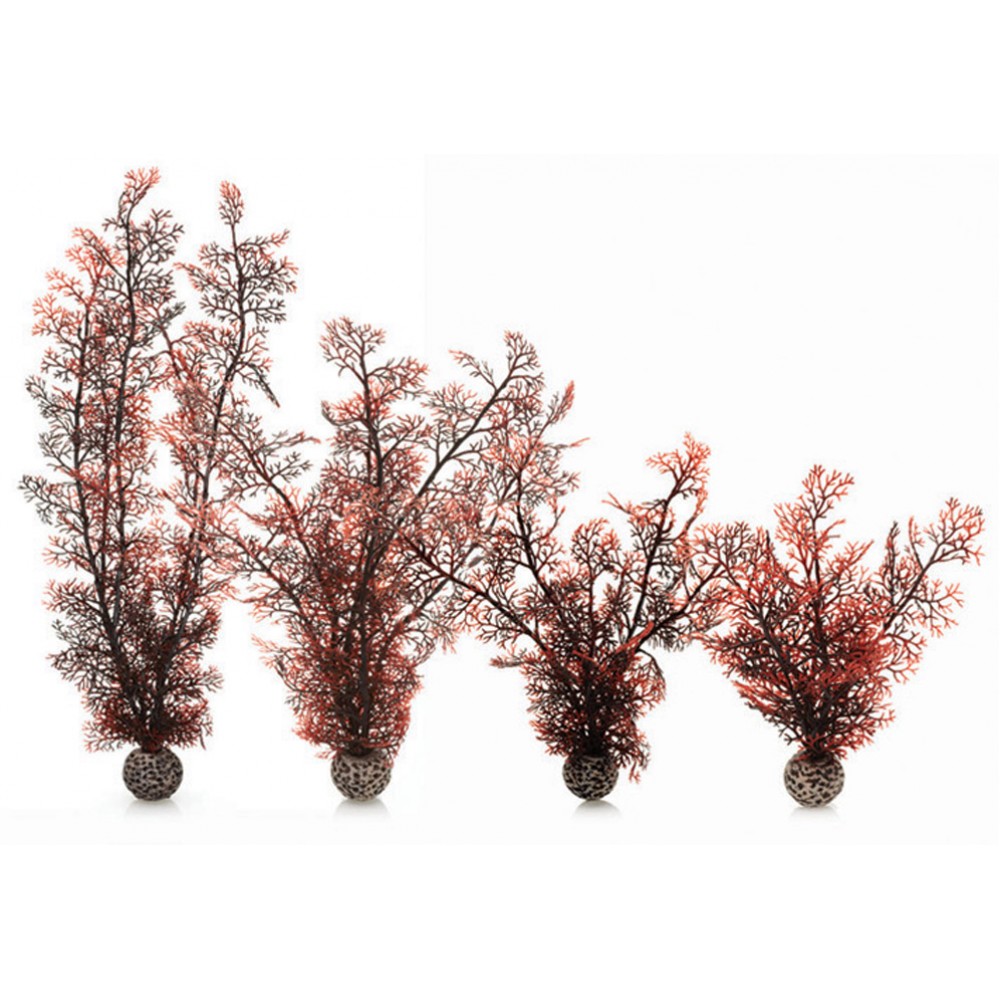 Picture of Biorb 822728005996 Aquariums Kelp Set&#44; Purple - Medium