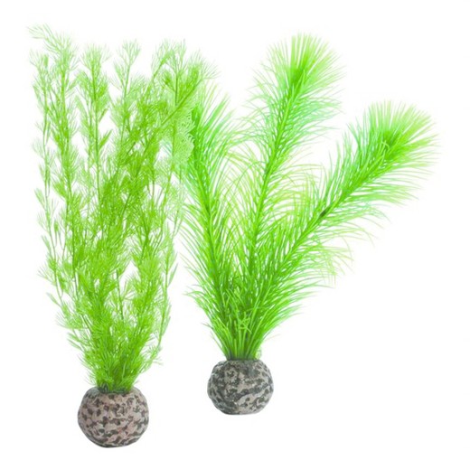 Picture of Biorb 822728006023 Feather Fern Set, Green - Small