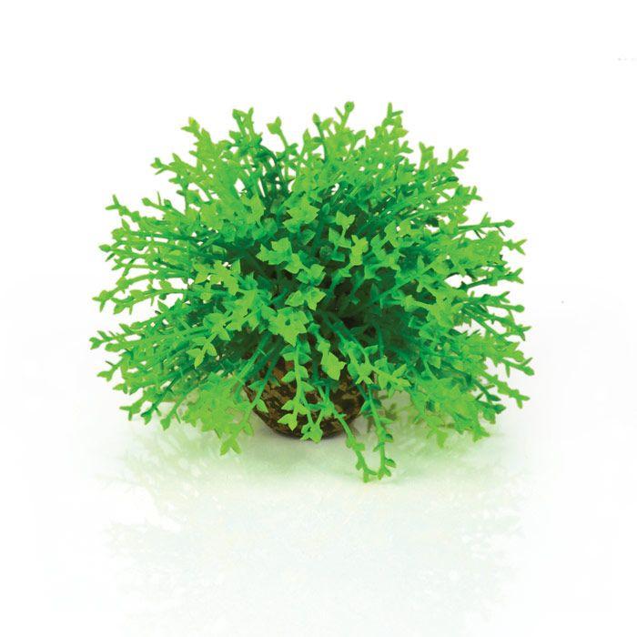 Picture of Biorb 822728007303 Flower Ball Topiary
