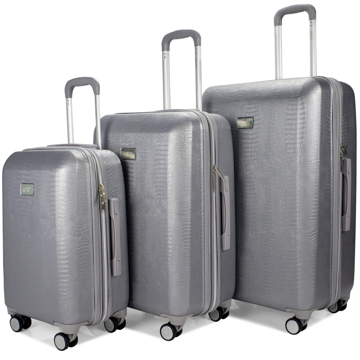 Snakeskin 3 Piece Expandable Luggage Set (Silver)