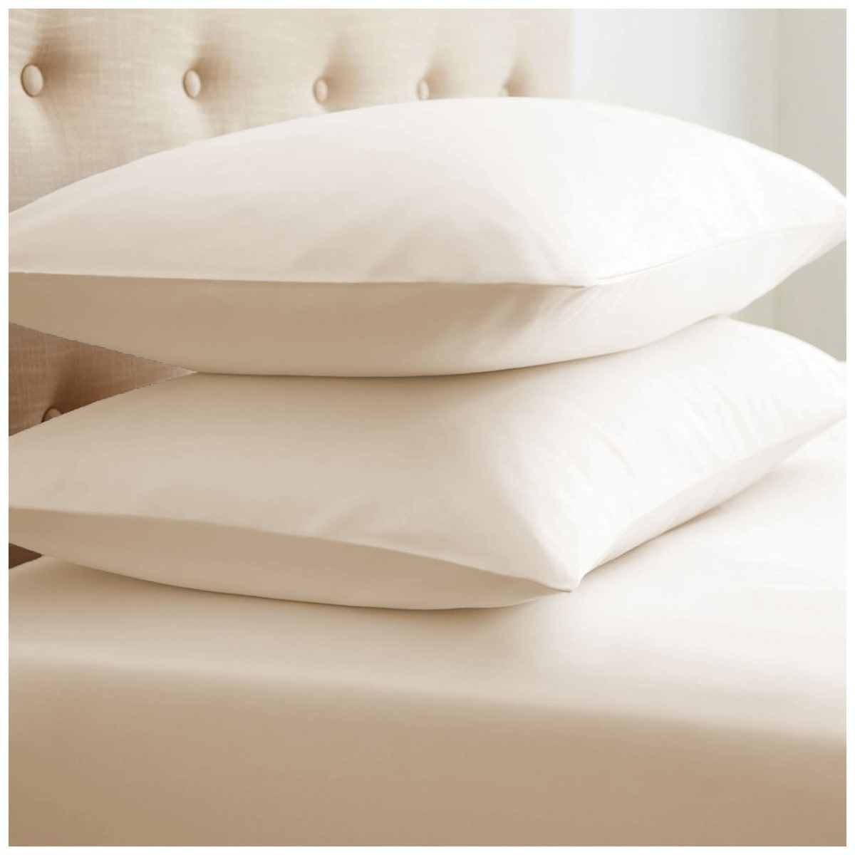 DDI 2185530 Full Vine Pattern 4 Piece Sheet Set - Aqua Case of 12