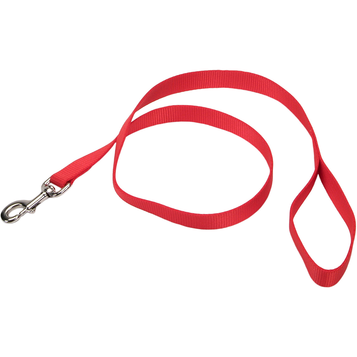 Picture of Coastal Pet Products 00906-RED06 1 in. x 6 ft. Single-Ply Nylon Training Dog Leash&#44; Red
