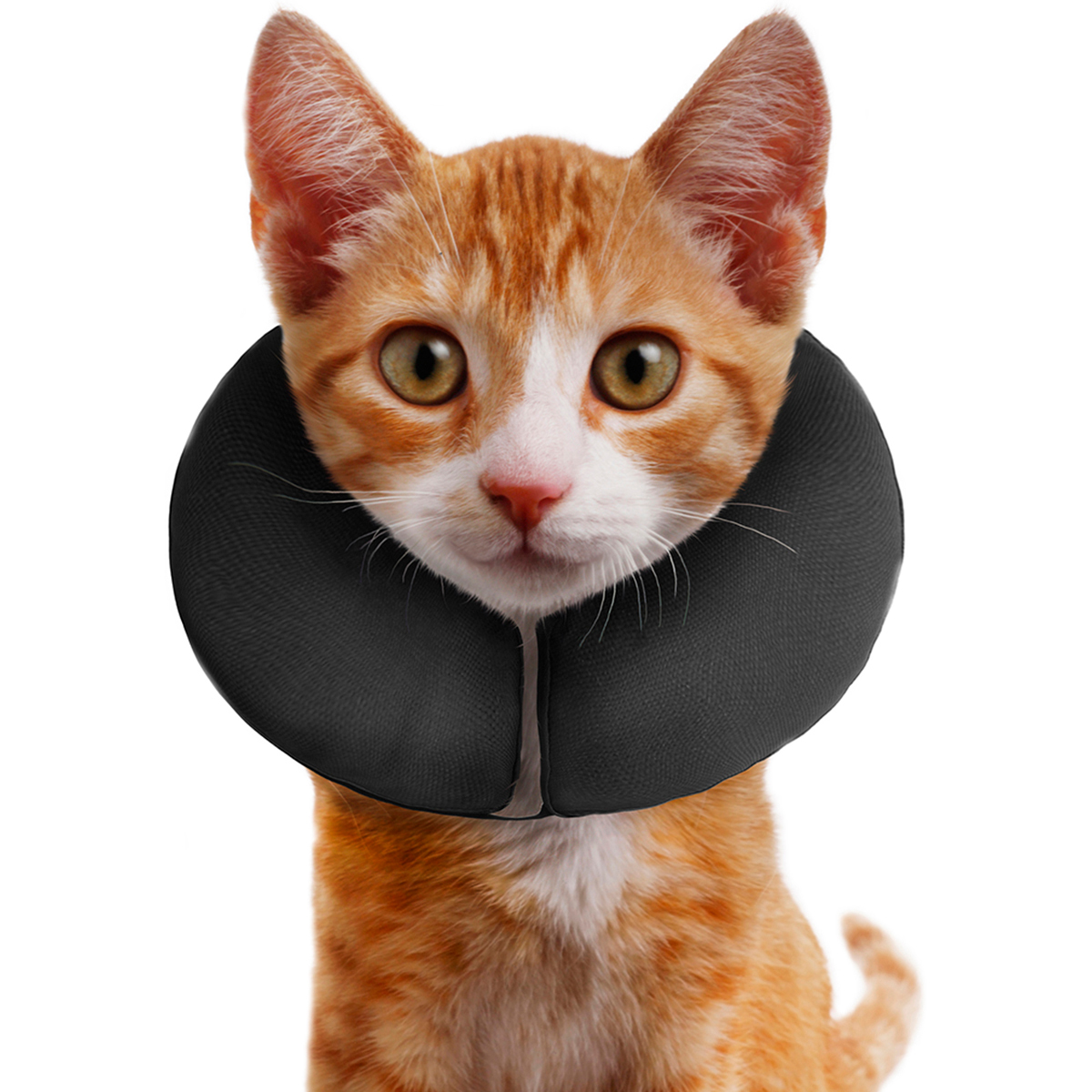 Inflatable Collar, Extra Small