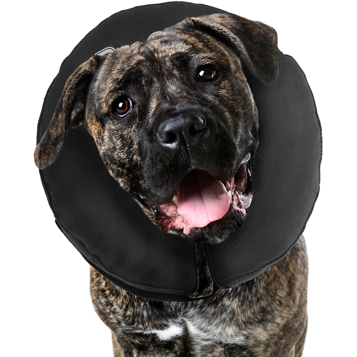 Inflatable Collar, 2XL