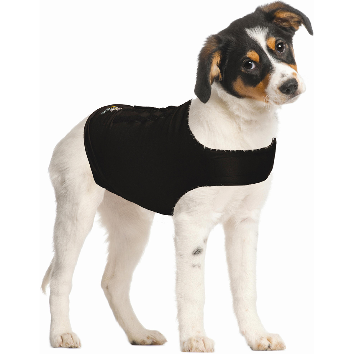 Picture of ZenPet 5928 Compression Shirt, Extra Small