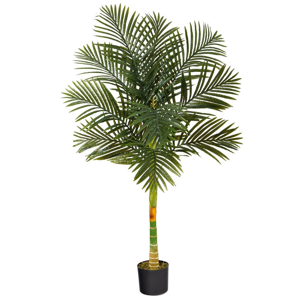 Picture of Nearly Natural T1838 5 ft. Single Stalk Golden Cane Artificial Palm Tree