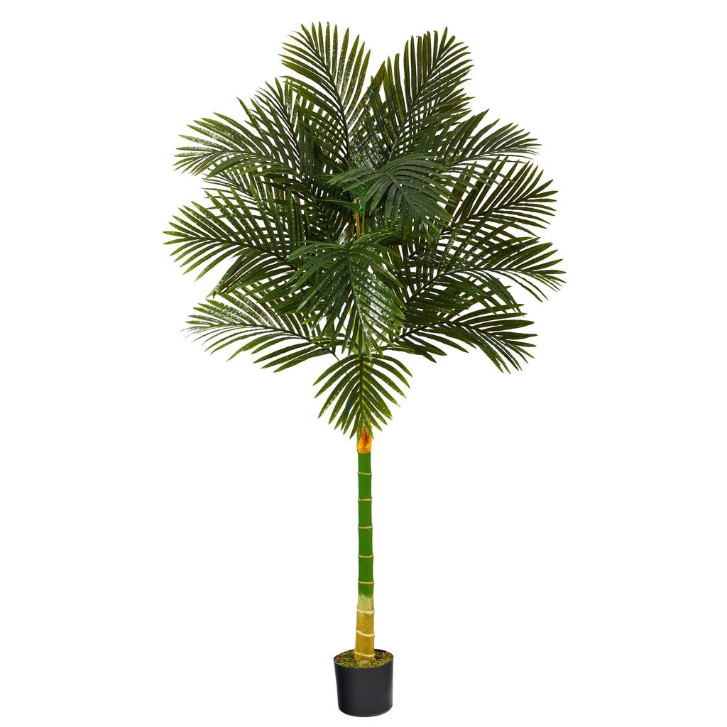 Picture of Nearly Natural T1839 6 ft. Single Stalk Golden Cane Artificial Palm Tree