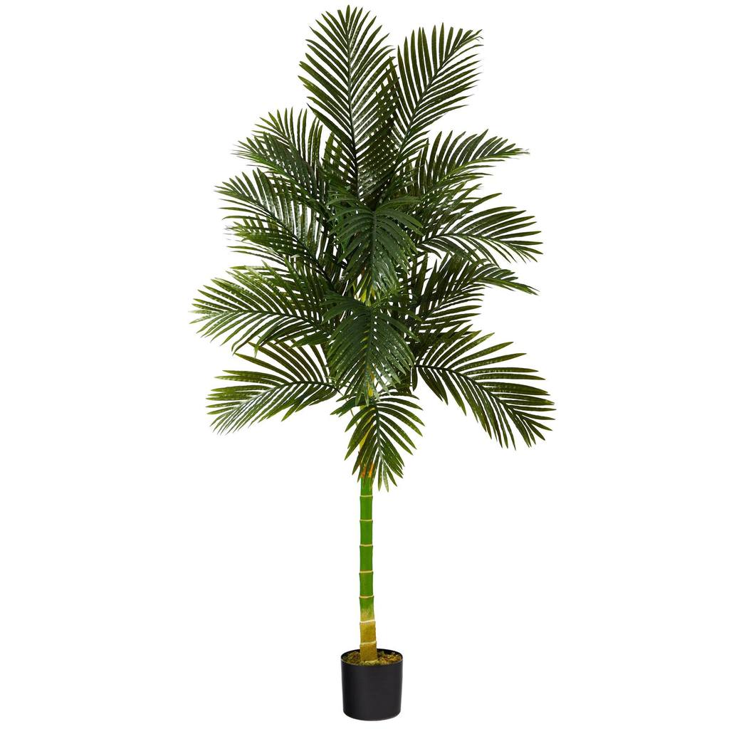 Picture of Nearly Natural T1840 7 ft. Single Stalk Golden Cane Artificial Palm Tree
