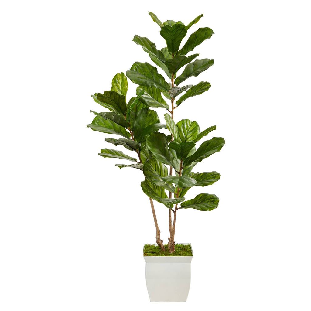 Picture of Nearly Natural T2487 5.5 ft. Fiddle Leaf Artificial Tree with Metal Planter UV Resistant&#44; White