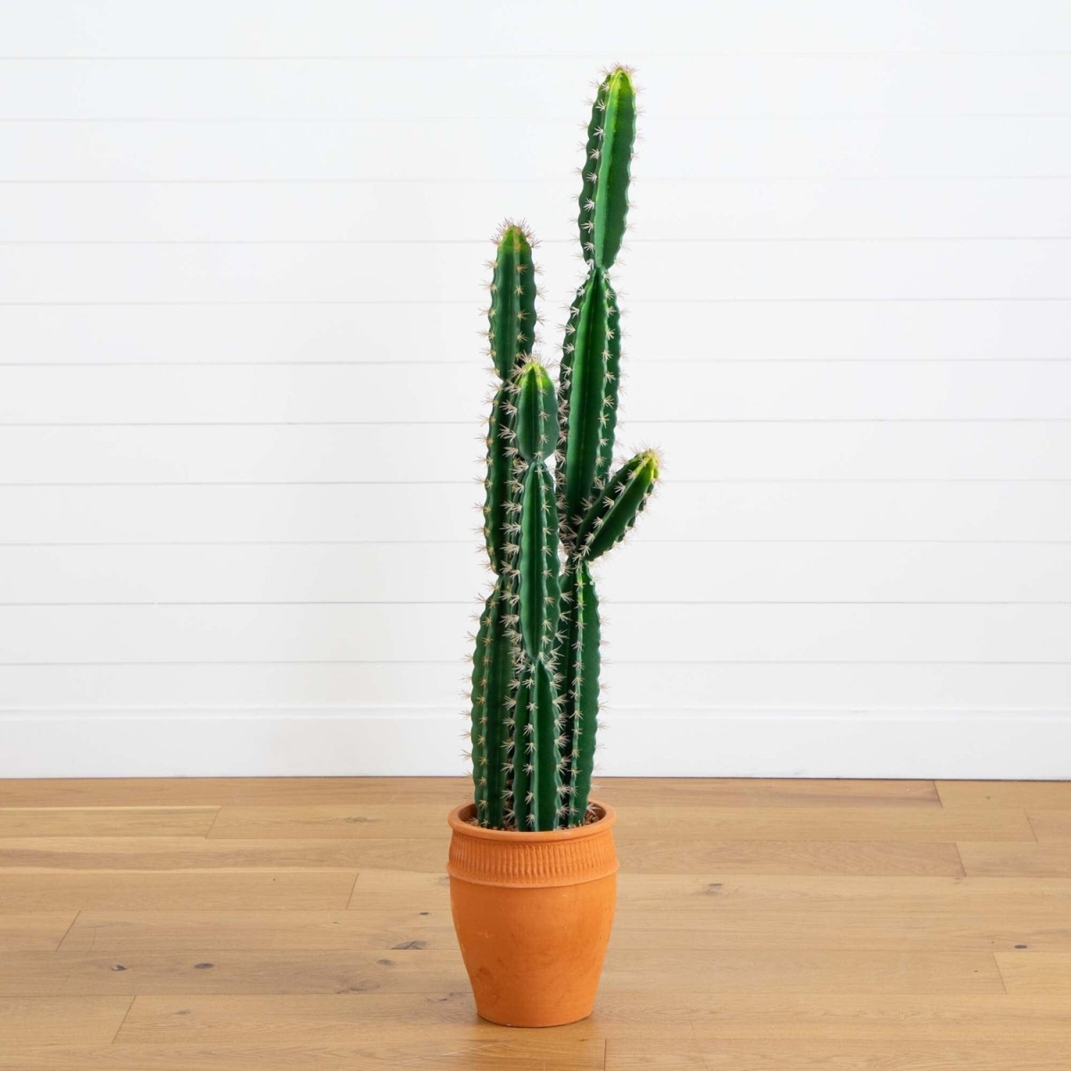 Picture of Nearly Natural P2044 5 ft. Artificial Cactus in Terracotta Planter