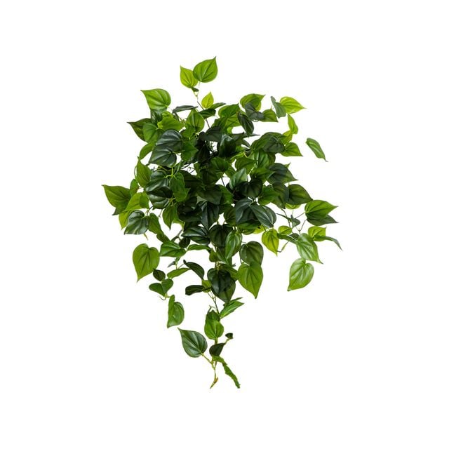 Picture of Nearly Natural 6136-S2 32 in. UV Resistant Artificial Philodendron Hanging Plant - Set of 2