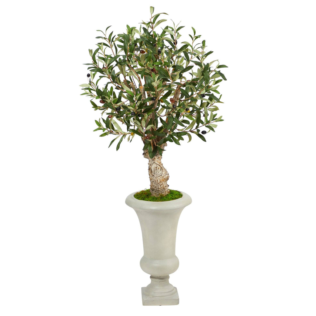Picture of Nearly Natural T2464 3.5 ft. Olive Artificial Tree in Sand Colored Urn