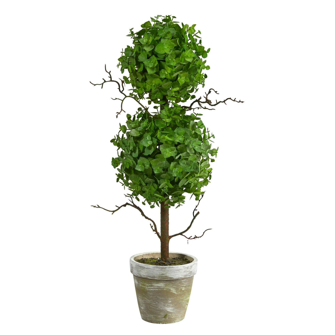 Picture of Nearly Natural T2033 2 ft. Eucalyptus Double Ball Topiary Artificial Tree