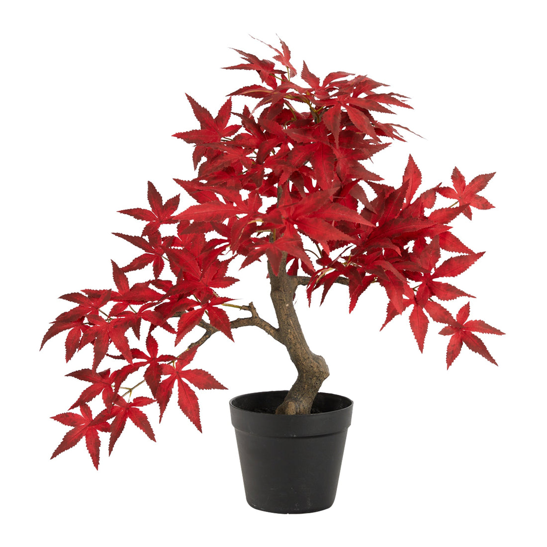 Picture of Nearly Natural T2792 20 in. Autumn Maple Bonsai