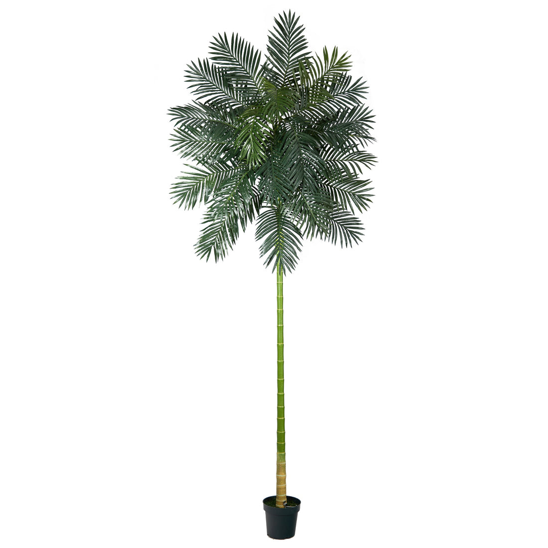 Picture of Nearly Natural T2397 10 ft. Golden Cane Artificial Palm Tree