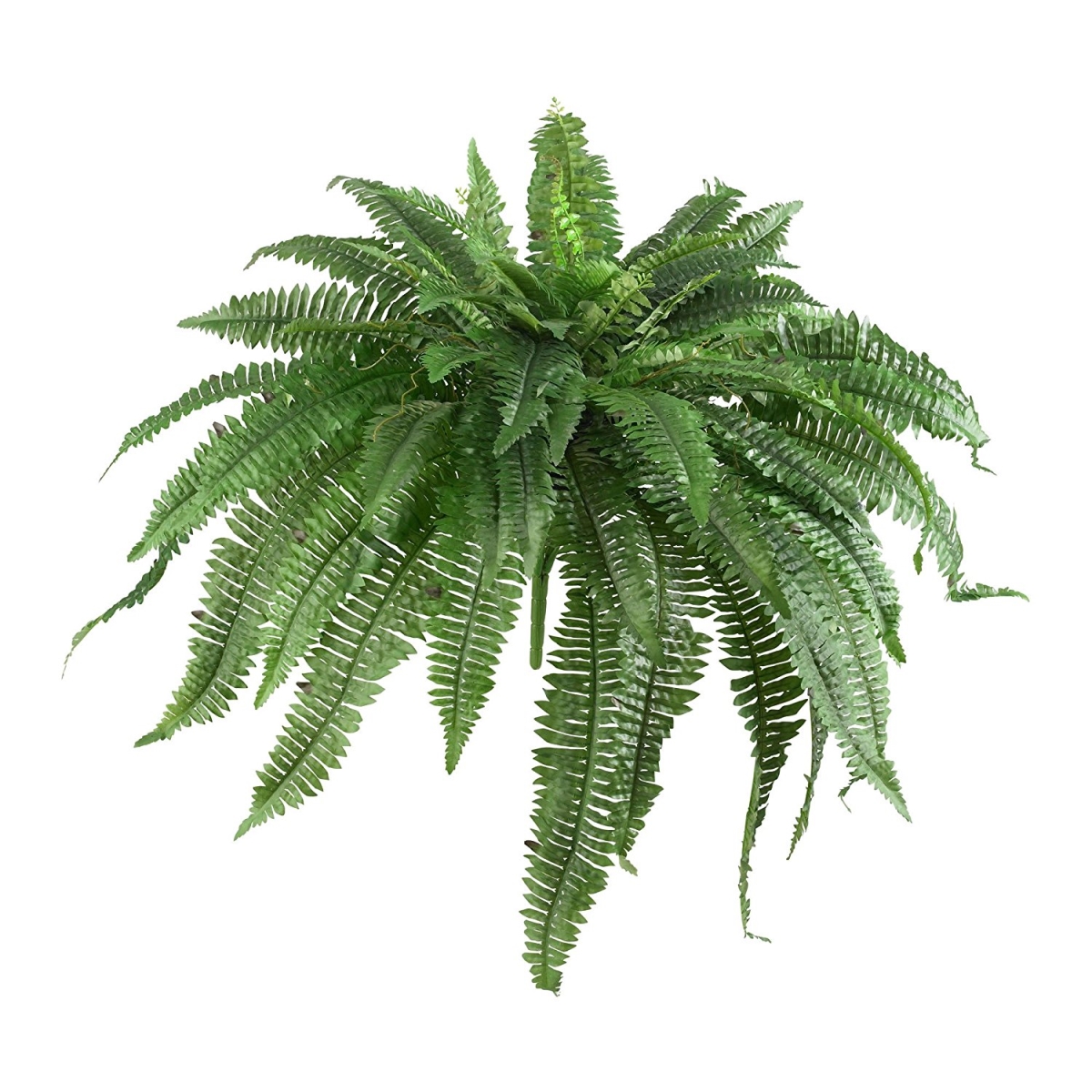 Picture of Nearly Natural 6051-S2 48 in. Boston Fern&#44; Set of 2