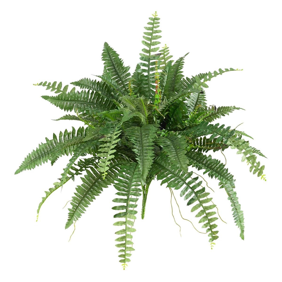 Picture of Nearly Natural 6032-S2 40 in. Boston Fern&#44; Set of 2