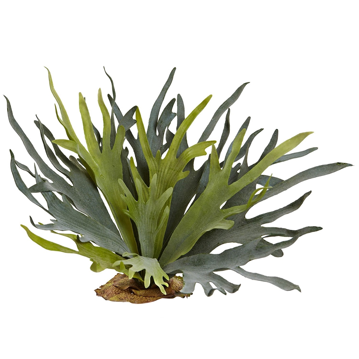 Picture of Nearly Natural 6107-S2 Staghorn Fern - 21 in.
