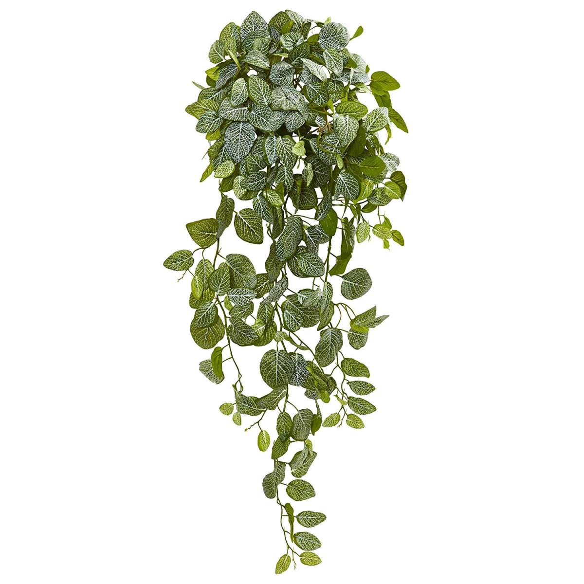 Picture of Nearly Natural 6190-S2 36 in. Fittonia Hanging Bush Artificial Plant - Set of 2