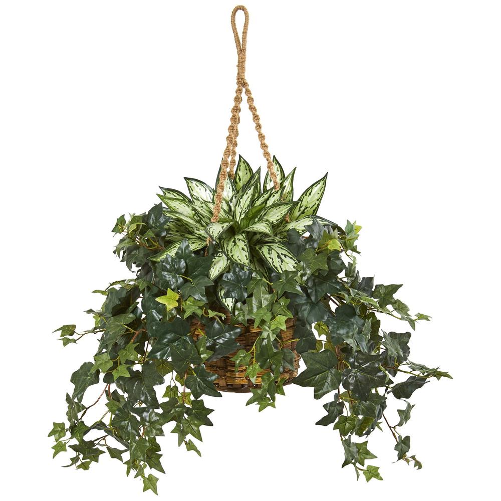 Picture of Nearly Natural 8420 30 in. Silver Queen & Ivy Artificial Plant in Hanging Basket