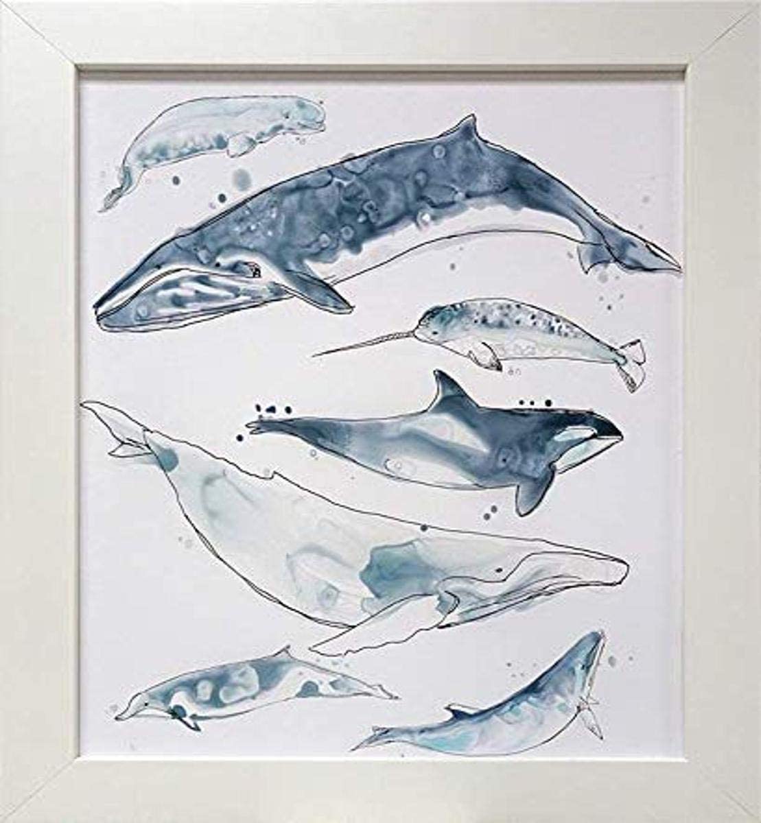 Picture of Artistic Reflections AR835 18 x 22 in. Framed Art Print - Cetacea I
