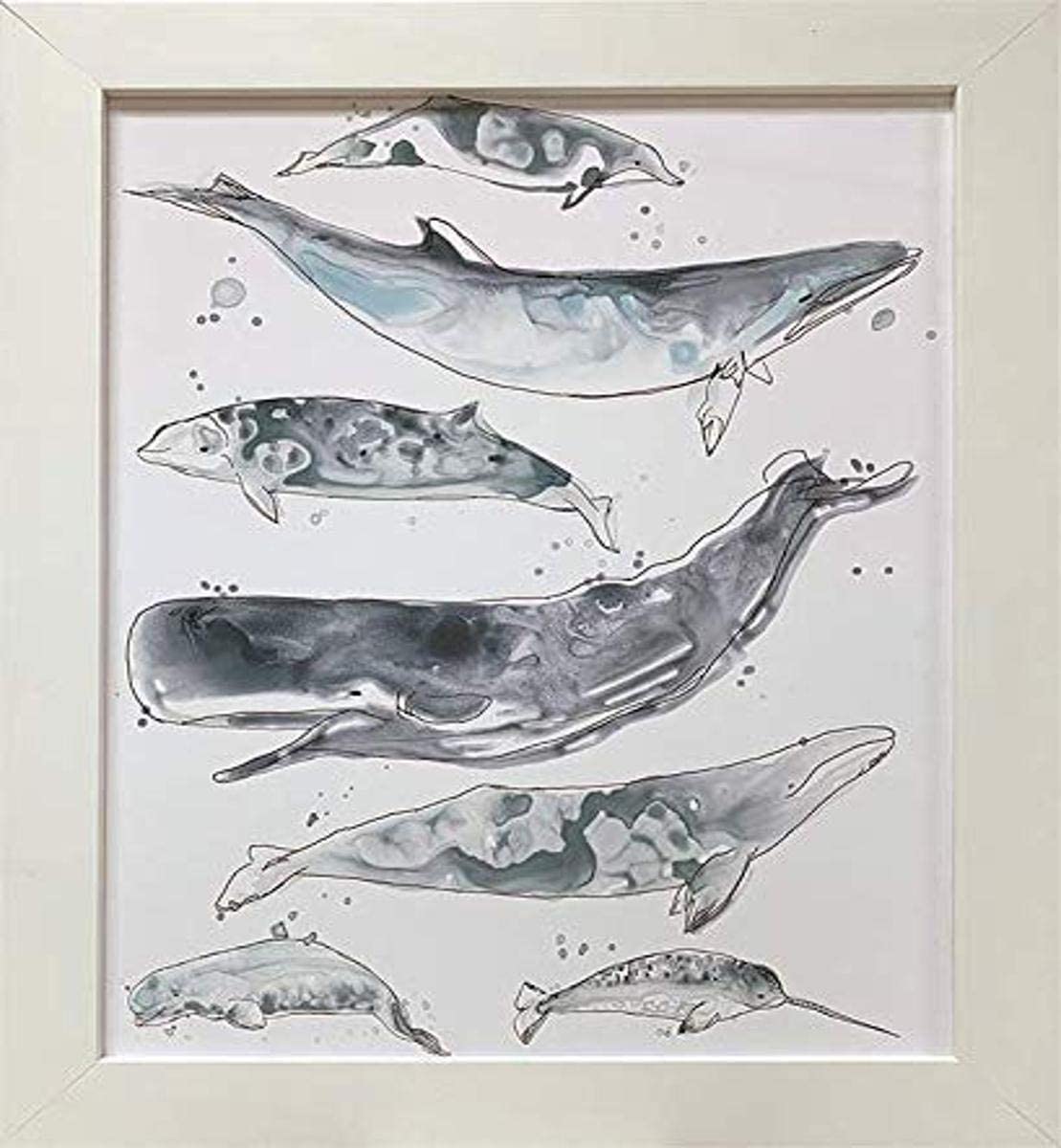 Picture of Artistic Reflections AR836 18 x 22 in. Framed Art Print - Cetacea II